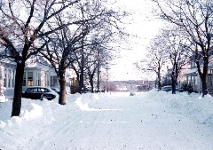Ruth; Ruths_Family; snow